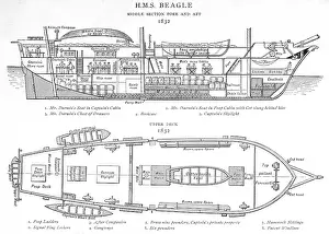 Plan of the HMS Beagle research ship of Charles Darwin