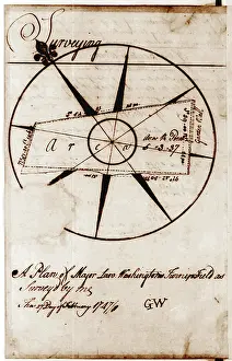Turnip: A plan of Major Lawrence Washington's turnip ?