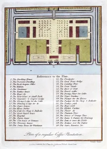 1813: Plan of a Regular Coffee Plantation Artist: John