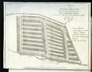 Induced: Plan of a Water-Meadow made out of part of a Bog