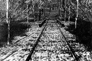 Emplacement: Plane camouflage, 1918