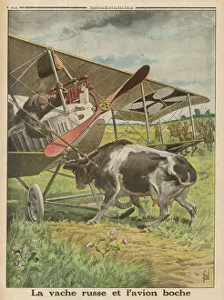 Confronted: PLANE MEETS COW