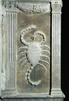 Scorpio: Planets and zodiac signs: the