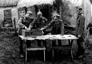 Bunkers: Planning of a bunker, 1942