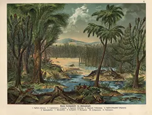 Gotthilf: Plant landscape of the Permian
