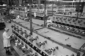 Employees: Plant Moldavkabel