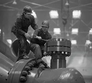 Instrumentation: Plant named after Petrov