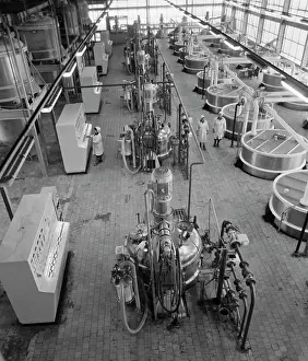 Brewhouse: Plant producing toothpastes