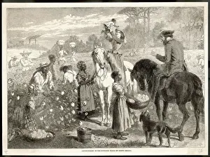 Idealized: ON A PLANTATION