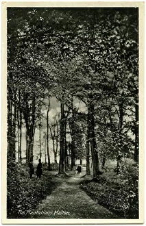 Aug16: The Plantations, River Derwent, Malton, North Yorkshire