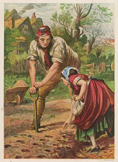 Planting potatoes 1870s