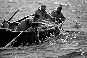 Kozlov: Planting of seaweed