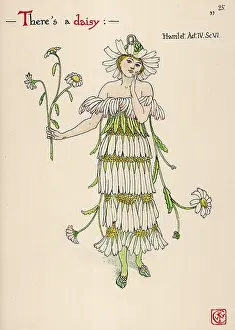 Bellis: Plants - Bellis Perennis