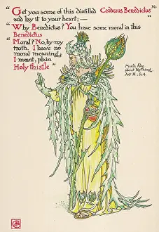 Benedictus: Plants - Cnicus Benedictus