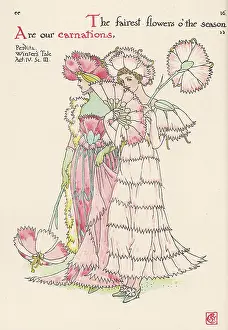 Dianthus: Plants - Dianthus