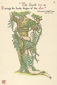 Hedera: Plants - Hedera Helix