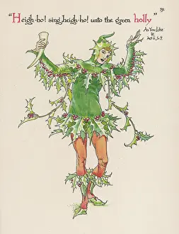 Aquifolium: Plants - Ilex Aquifolium