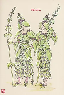 Mentha: Plants - Mentha