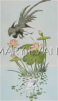 Symbolises: PLANTS/NYMPHAEA