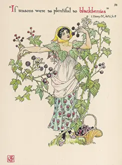 Blackberry: Plants - Rubus Fruticosus