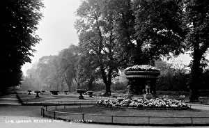 Landscaping: Plants and trees in Regents Park, London