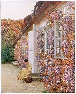 Weimar Archive: PLANTS/WISTERIA