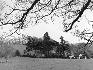 Plas: PLAS MEREDITH
