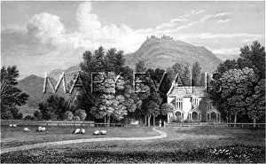 Plas: PLAS NEWYDD (WALES)