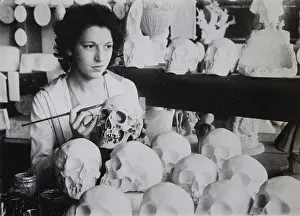 Handwork: Plaster replicas of human skulls for