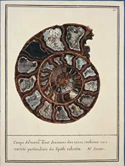 Carbonate: Plate 42 from Mineralogie Volume 1 (1790)