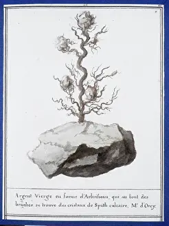 Carbonate: Plate 44 from Mineralogie