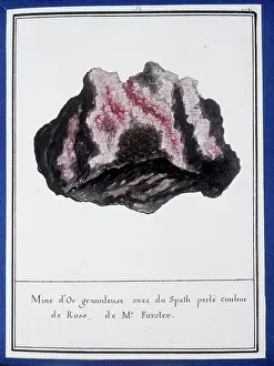 Rosales: Plate 48 from Mineralogie
