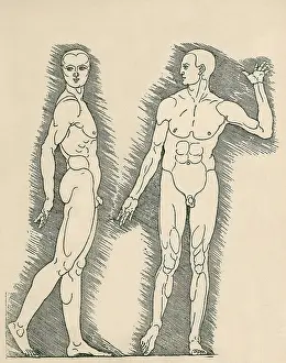 Proportion: Plate from Albrecht Durer's, VIER BUCHER ?