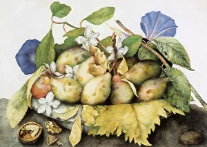 Plum: Plate of Plums with Jasmine and Nuts