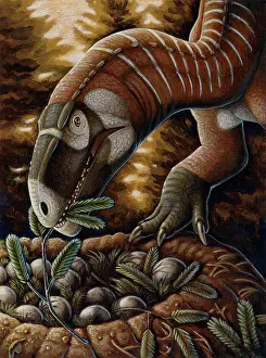 Close Up: Plateosaurus dinosaur nest