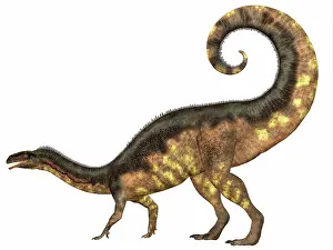 Plateosaurid: Plateosaurus dinosaur, side view