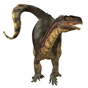 Plateosaurid: Plateosaurus dinosaur, front view
