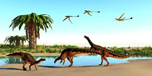 Pterosaur: Plateosaurus dinosaurs and Eudimorphodon's surround