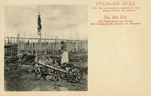 Urals: Platinum mining in the Ural Mountains, Russia