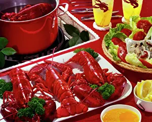 Lobsters: Platter of Three Freshly Boiled Lobsters More