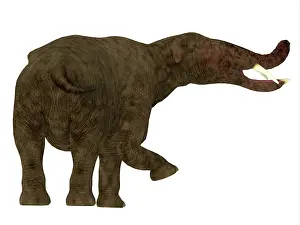 Pleistocene: Platybelodon mammal, rear view