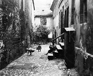 Backyard: Playing children in a Berlin backyard, 1926