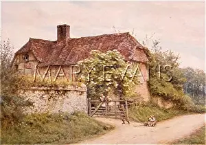 Witley: PLAYING ON COTTAGE GATE