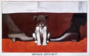 Budding: PLAYING FOOTSIE/DOG