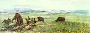 Rhinocerotidae: Pleistocene hunters, wider view