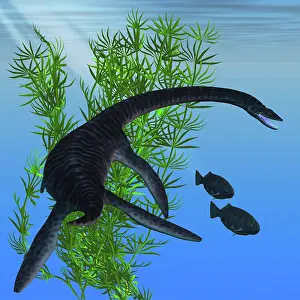 Slender: A Plesiosarus dinosaur of the Jurassic Era