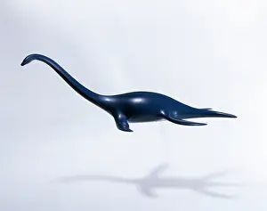 Invicta: Plesiosaur