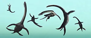 Plesiosaur: Plesiosaurs gather at their underwater playground