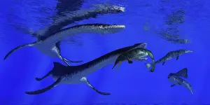 Plesiosaurus: Plesiosaurus attacks a Metriorhynchus in Jurassic seas