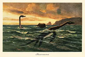 Plesiosaurus: Plesiosaurus dolichodeirus in the ocean